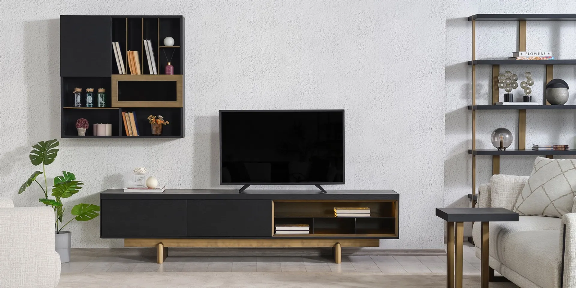 Graft Tv Ünitesi