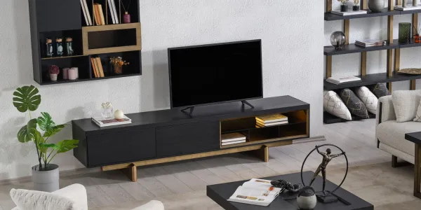 Graft Tv Ünitesi