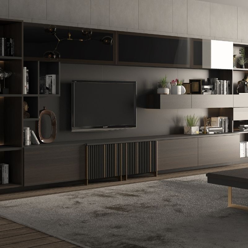 DESIGNER TV UNIT MODELS