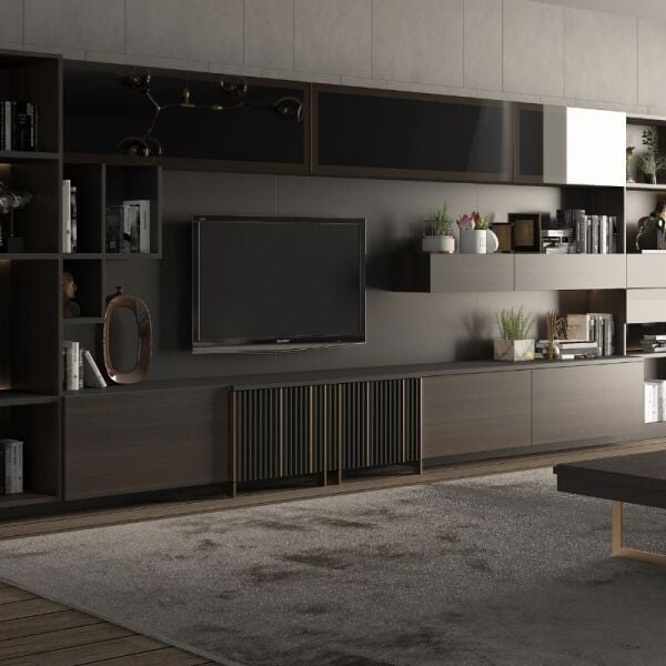 DESIGNER TV UNIT MODELS